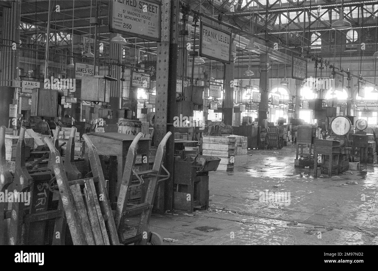 Quiet period, early afternoon, Billingsgate Fish Market interior, London, Stock Photo