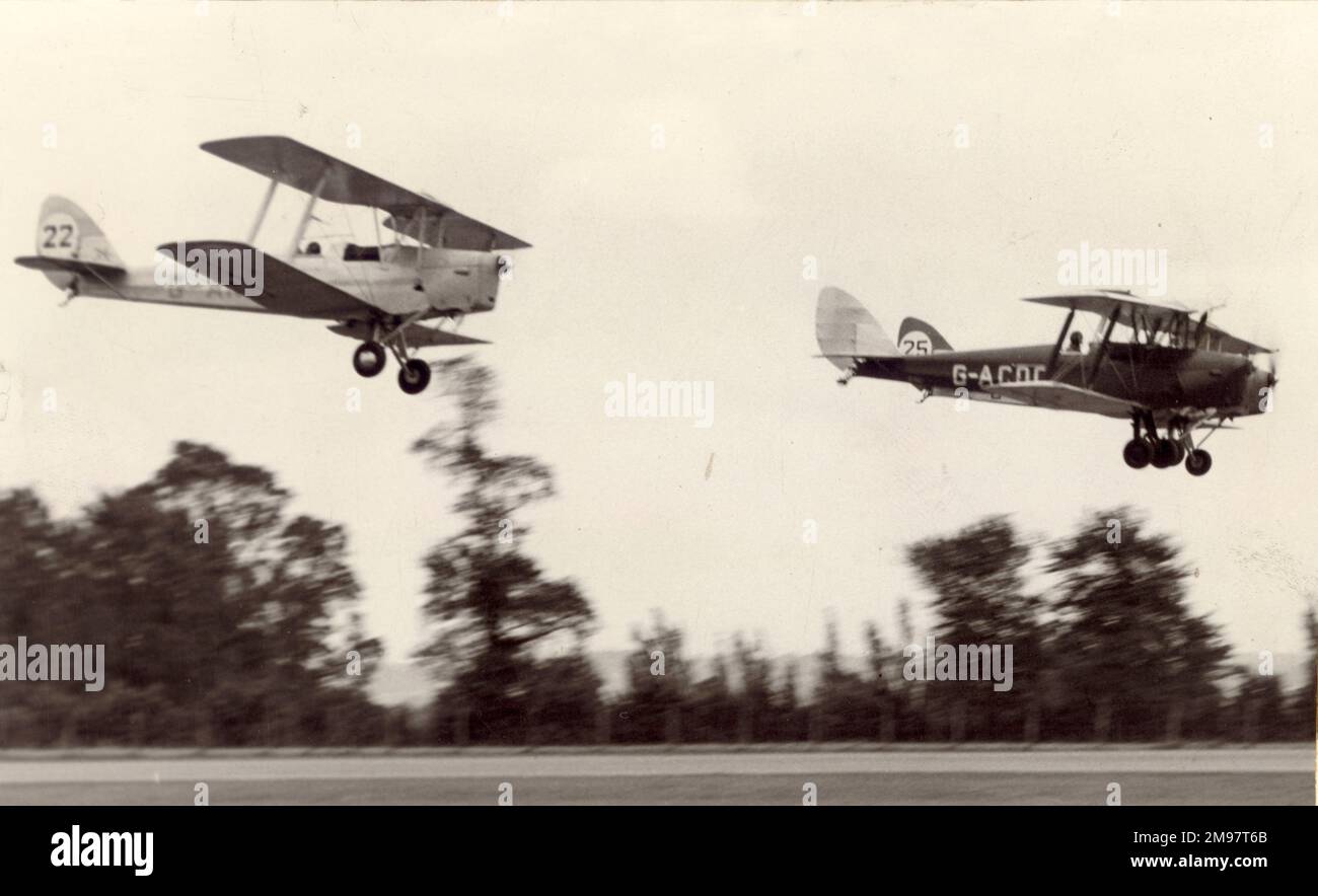 de Havilland DH82 Tiger Moths (including G-ACDC) at the 1957 Royal Aeronautical Society Garden Party at Wisley on 15 September. Stock Photo