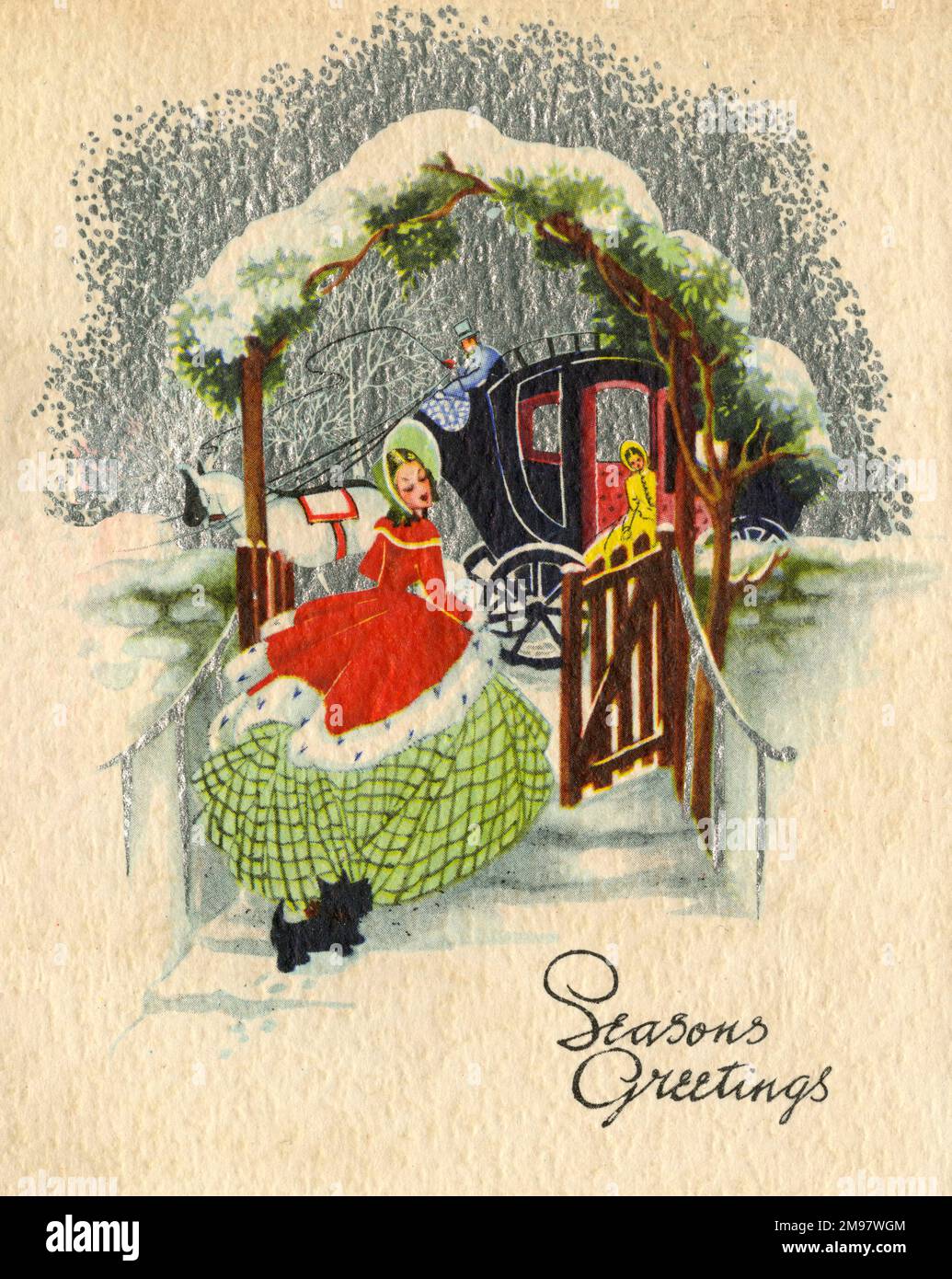 The Christmas Card Lady 