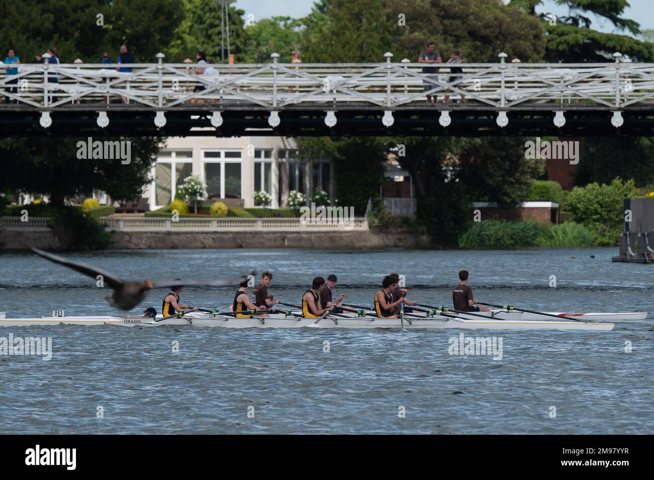 Marlow, Buckinghamshire, UK. 11th June, 2022. A busy day of rowing