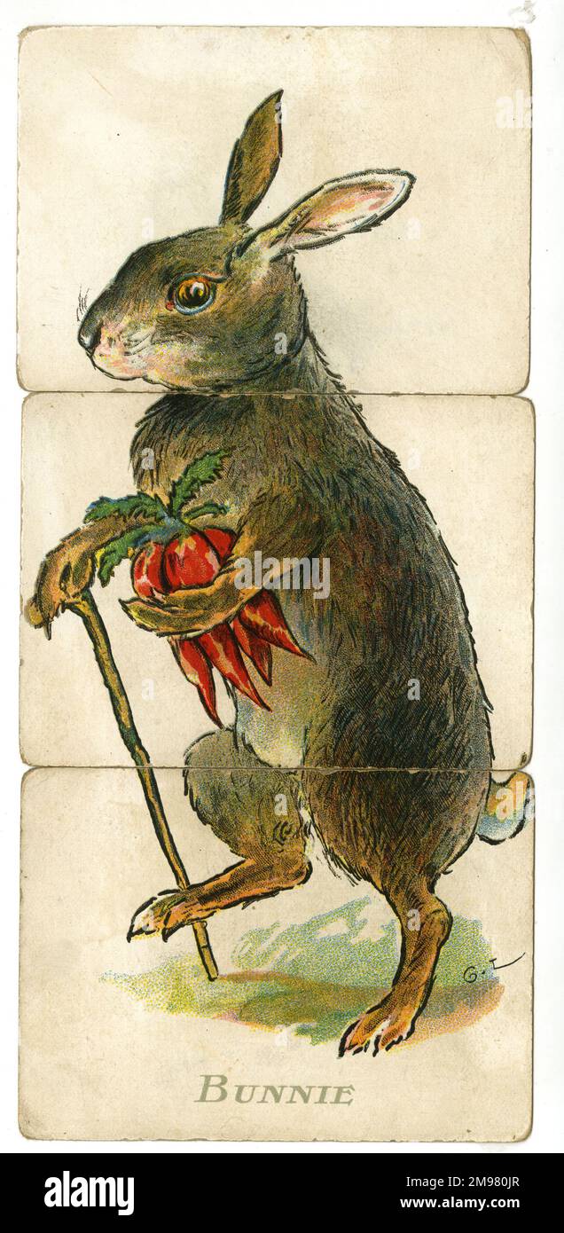 Misfitz - Bunnie Stock Photo - Alamy