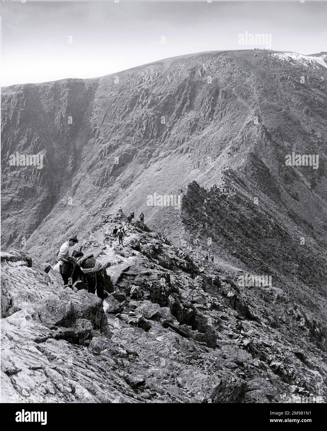Fell walkers on Striding Edge leading to Helvellyn, Lake District, Cumbria, England. Stock Photo