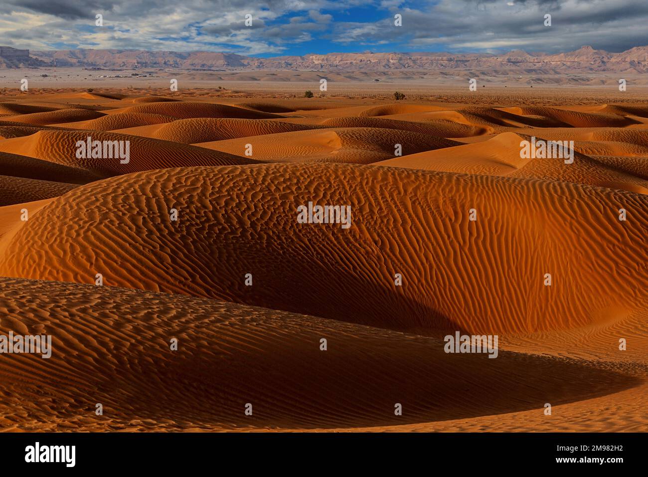 Rippled sand dunes in desert landscape with mountain backdrop, Saudi Arabia Stock Photo