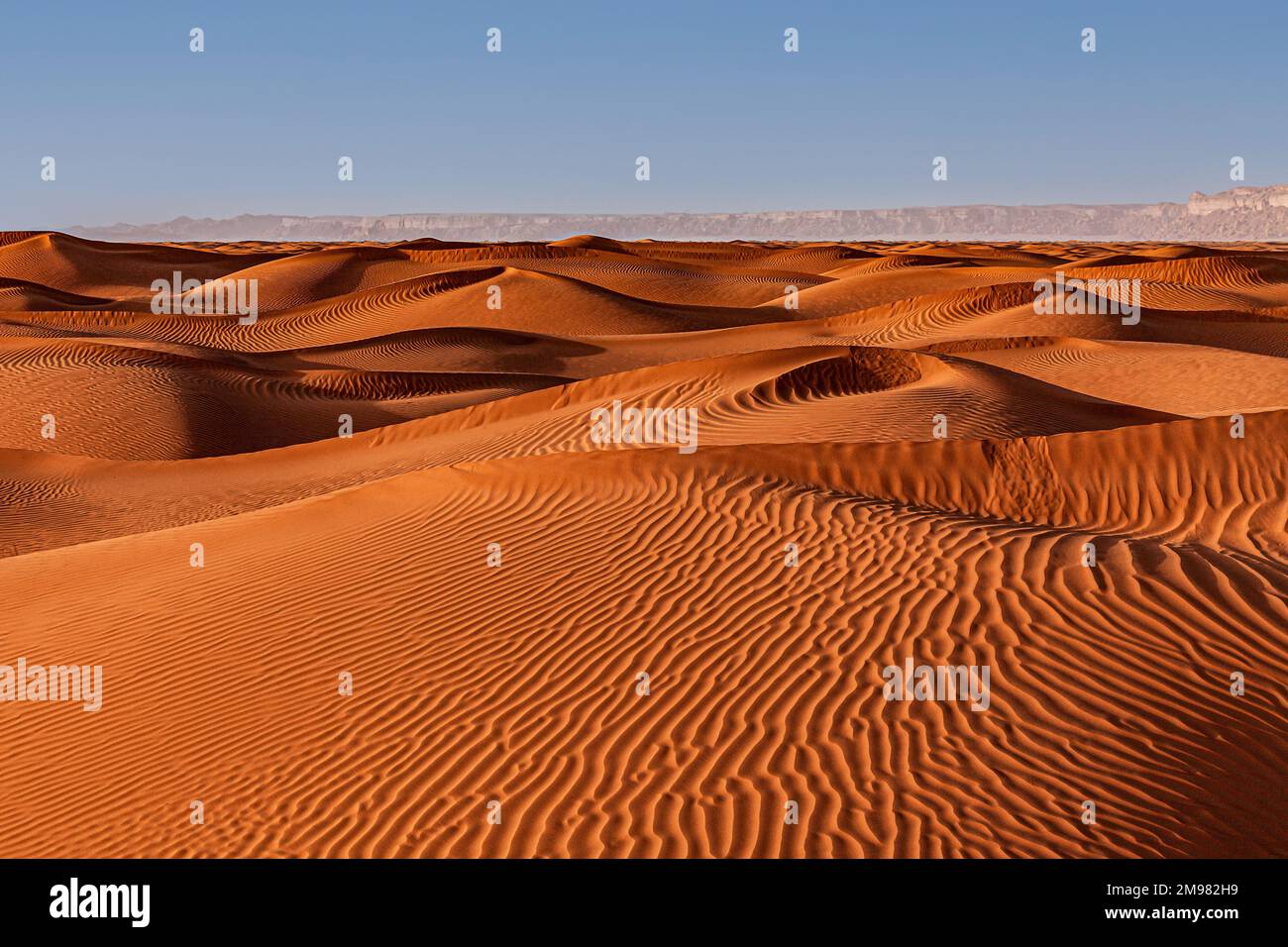 Rippled sand dunes in desert landscape with mountain backdrop, Saudi Arabia Stock Photo