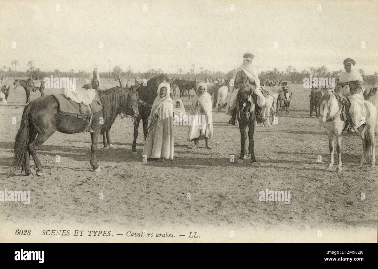 A large group of Arab horsemen gather, somewhere in North Africa. Some are mounted on their horses, others are holding them by their bridles. Stock Photo