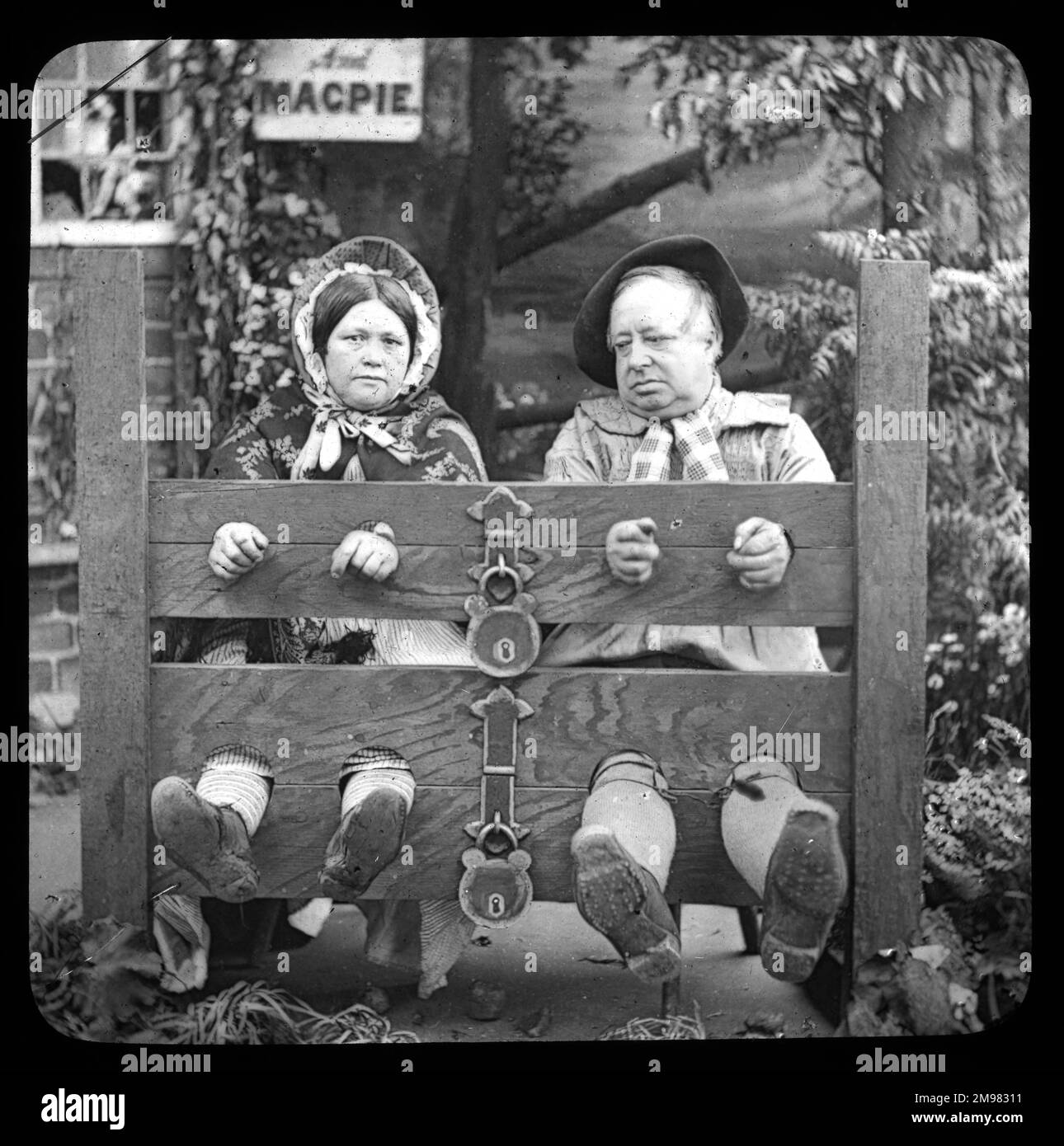 Wedded Bliss in the Stocks -- a middle-aged couple padlocked in. Stock Photo