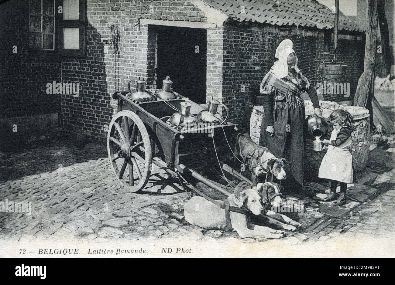 Belgium - Flemish Milkmaid with her Dog-drawn milk cart - pouring a mug of the white stuff for a young girl. Stock Photo