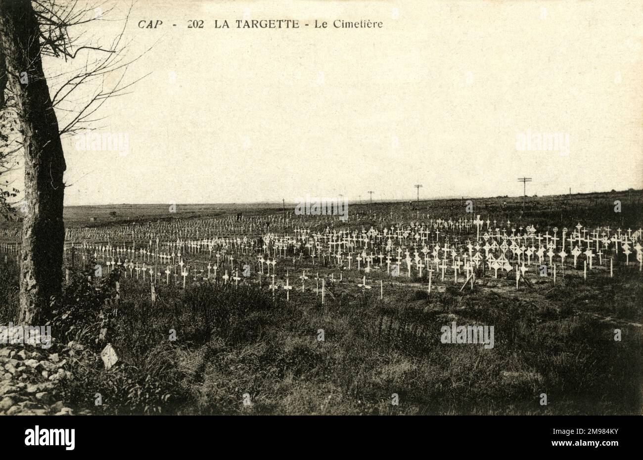 The La Targette area of the Neuville-Saint-Vaast military cemetery, located in Pas de Calais, northern France. It predominantly holds the graves of soldiers killed in the Second Battle of Artois, in May 1915. The cemetery opened in 1919 and contains the remains of 42,000 soldiers killed during the First World War. Stock Photo