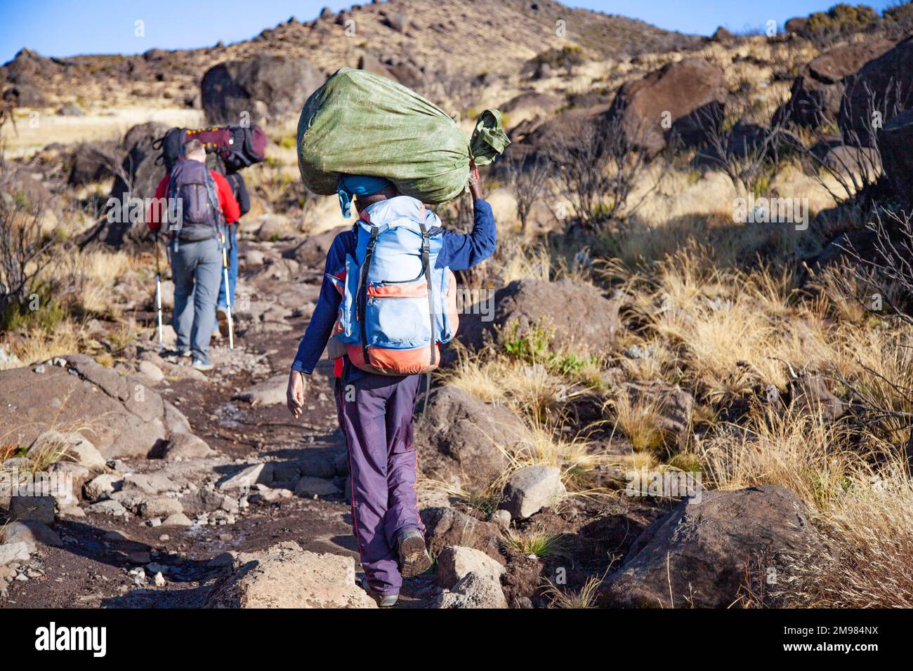 A porter carrying heavy load on his back walks along the road Stock