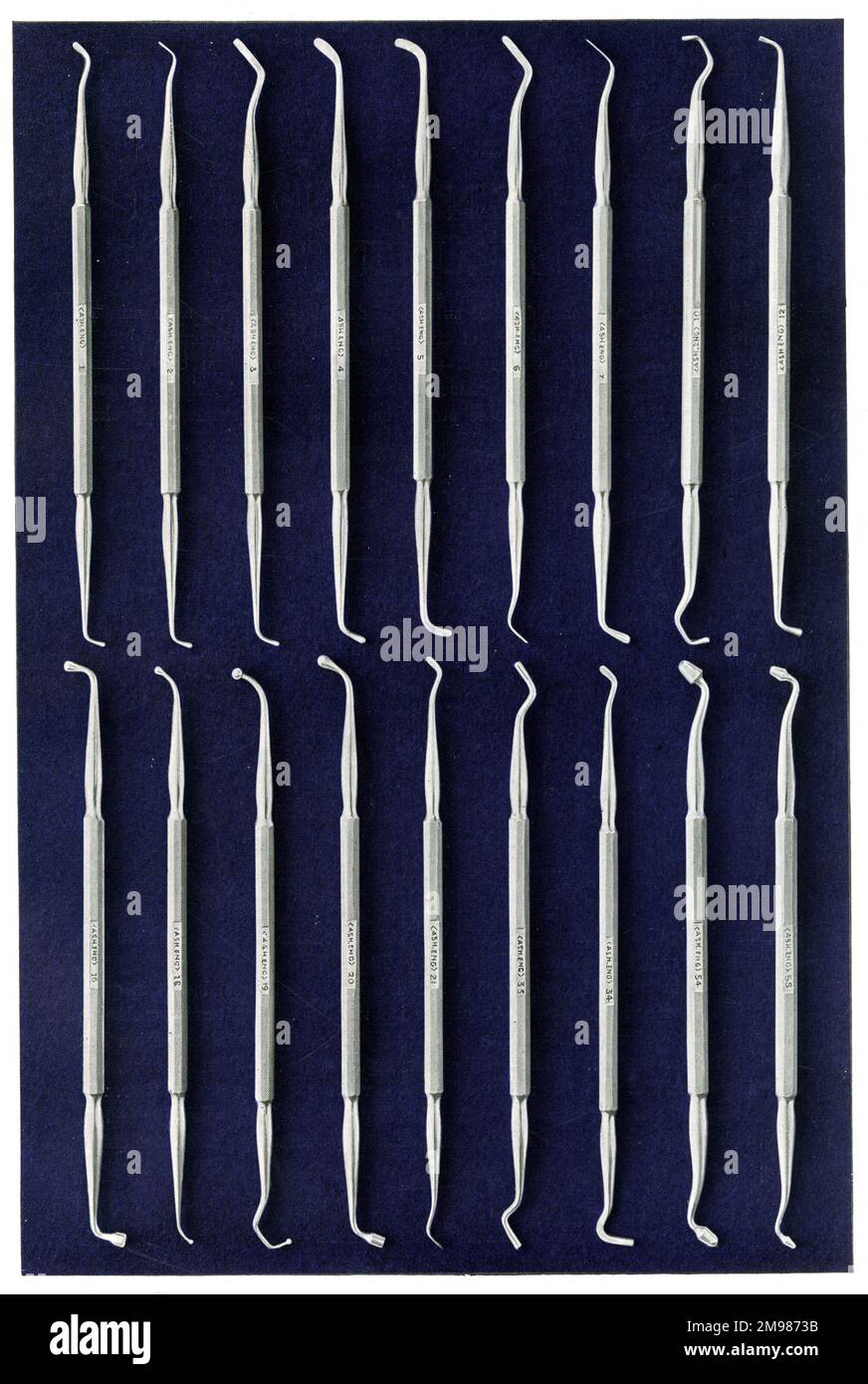 Claudius ash hires stock photography and images Alamy