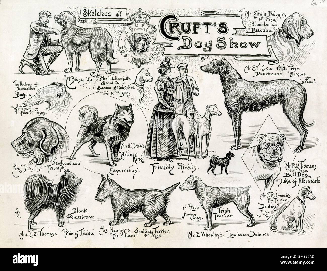 Victorian mastiff store