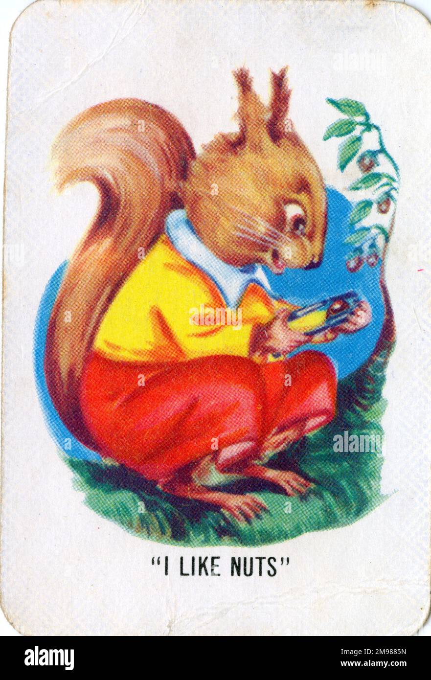 Old Maid card game I Like Nuts Stock Photo Alamy