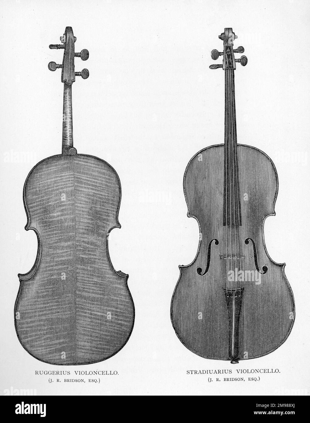 Two cellos by Ruggerius and Stradivarius, both belonging to J R Bridson. Stock Photo