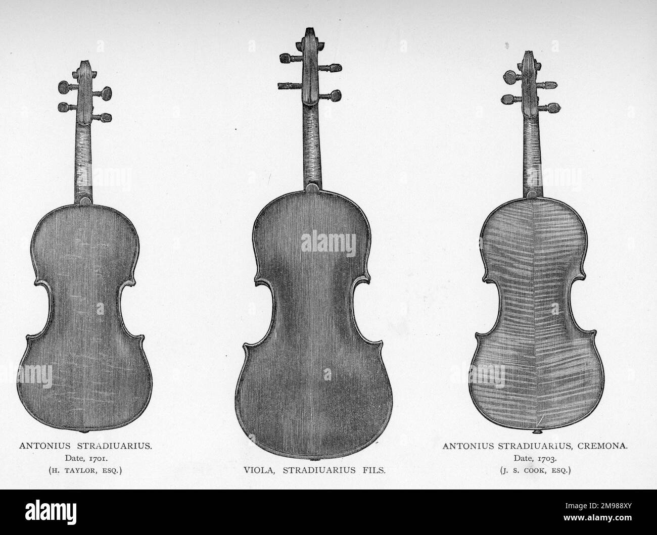 Viola instrument Black and White Stock Photos & Images - Alamy