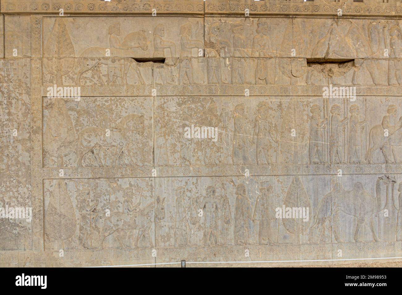Bas reliefs at Apadana palace in the ancient Persepolis, Iran Stock ...