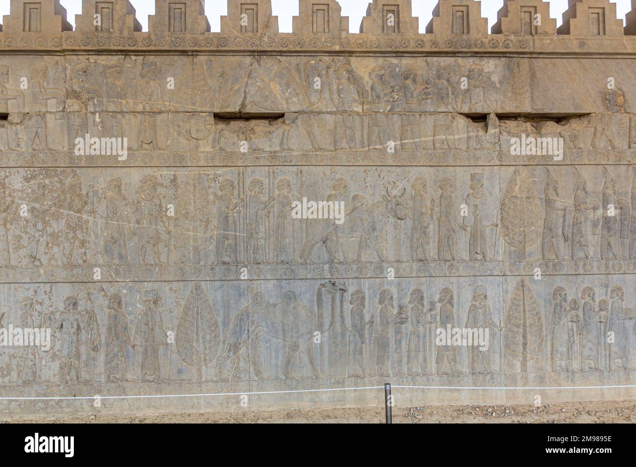 Bas reliefs at Apadana palace in the ancient Persepolis, Iran Stock ...