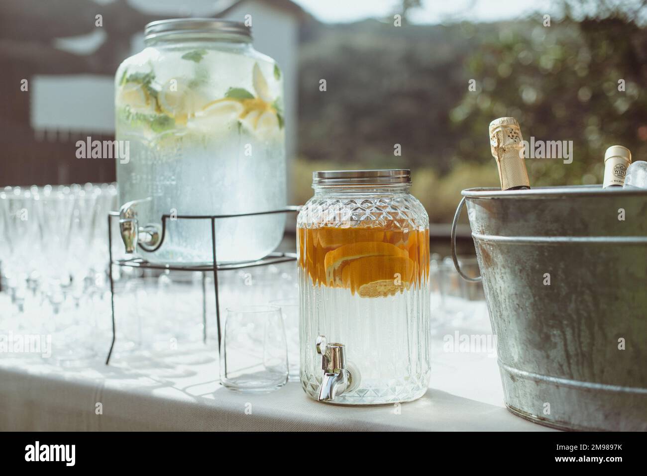 Ice bucket filled with bottles of wine and champagne next to glasses and two water dispensers filled with oranges and lemon on a garden table Stock Photo