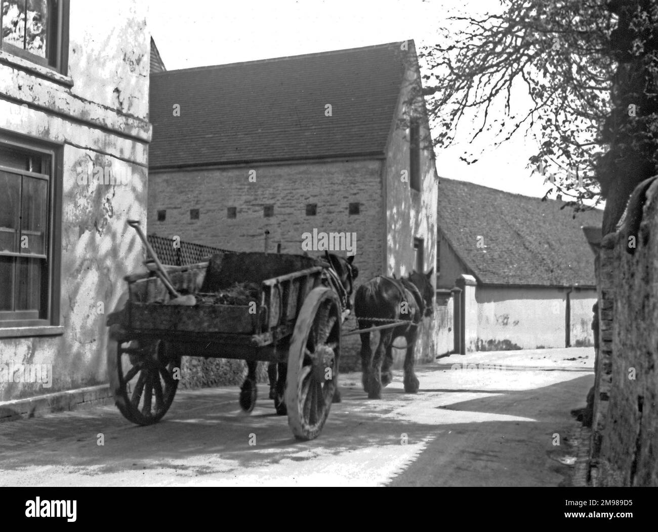Rural cart being pulled through a village by two horses. Stock Photo