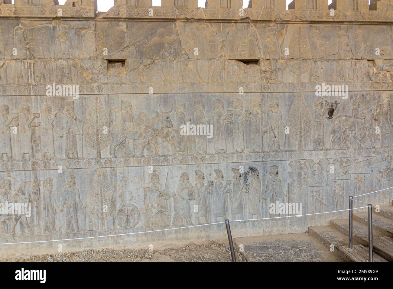 Bas reliefs at Apadana palace in the ancient Persepolis, Iran Stock ...