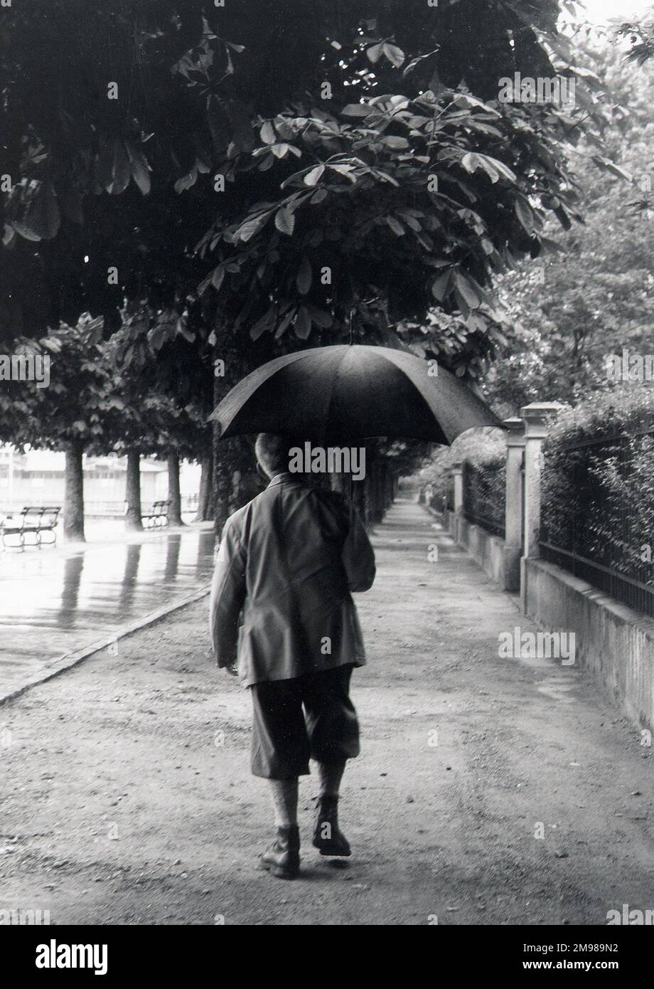 Man walking in the rain holding an umbrella wearing plus fours, Lucerne, Switzerland. Stock Photo