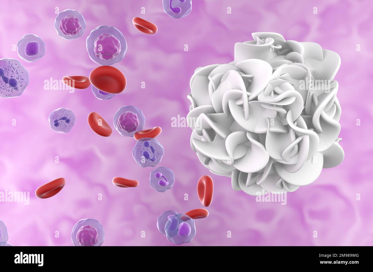 Immature dendritic cell - super closeup view 3d illustration Stock Photo