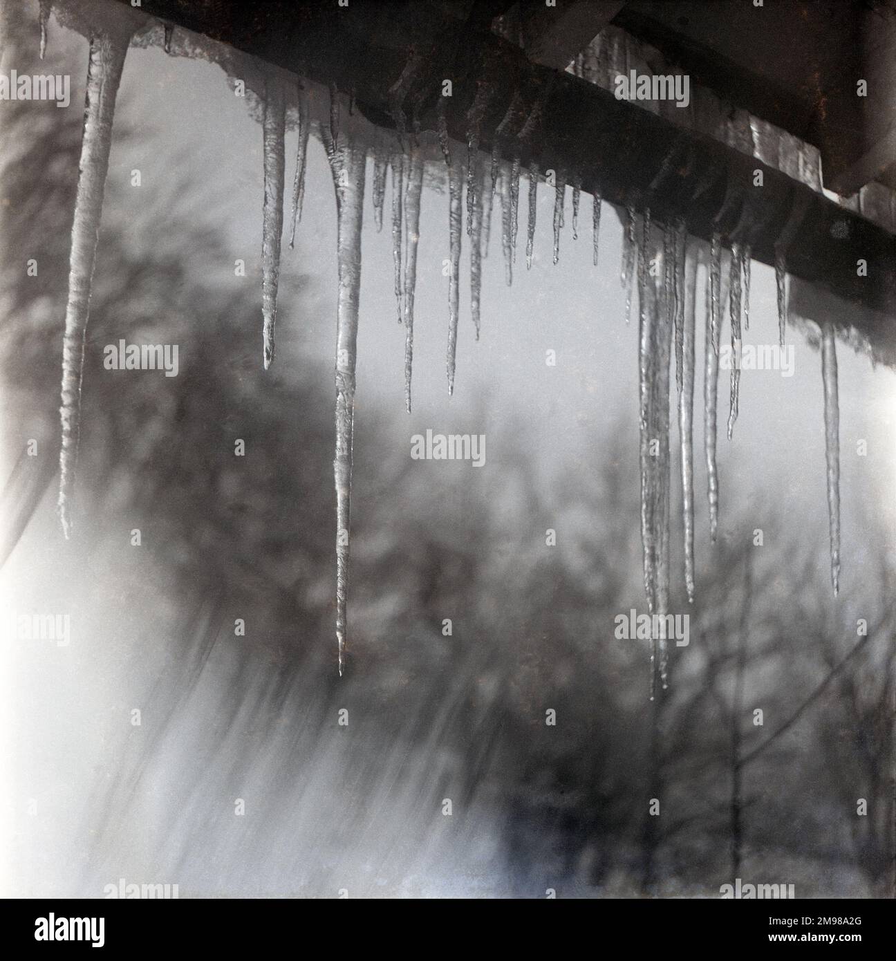 Icicles hanging. Stock Photo