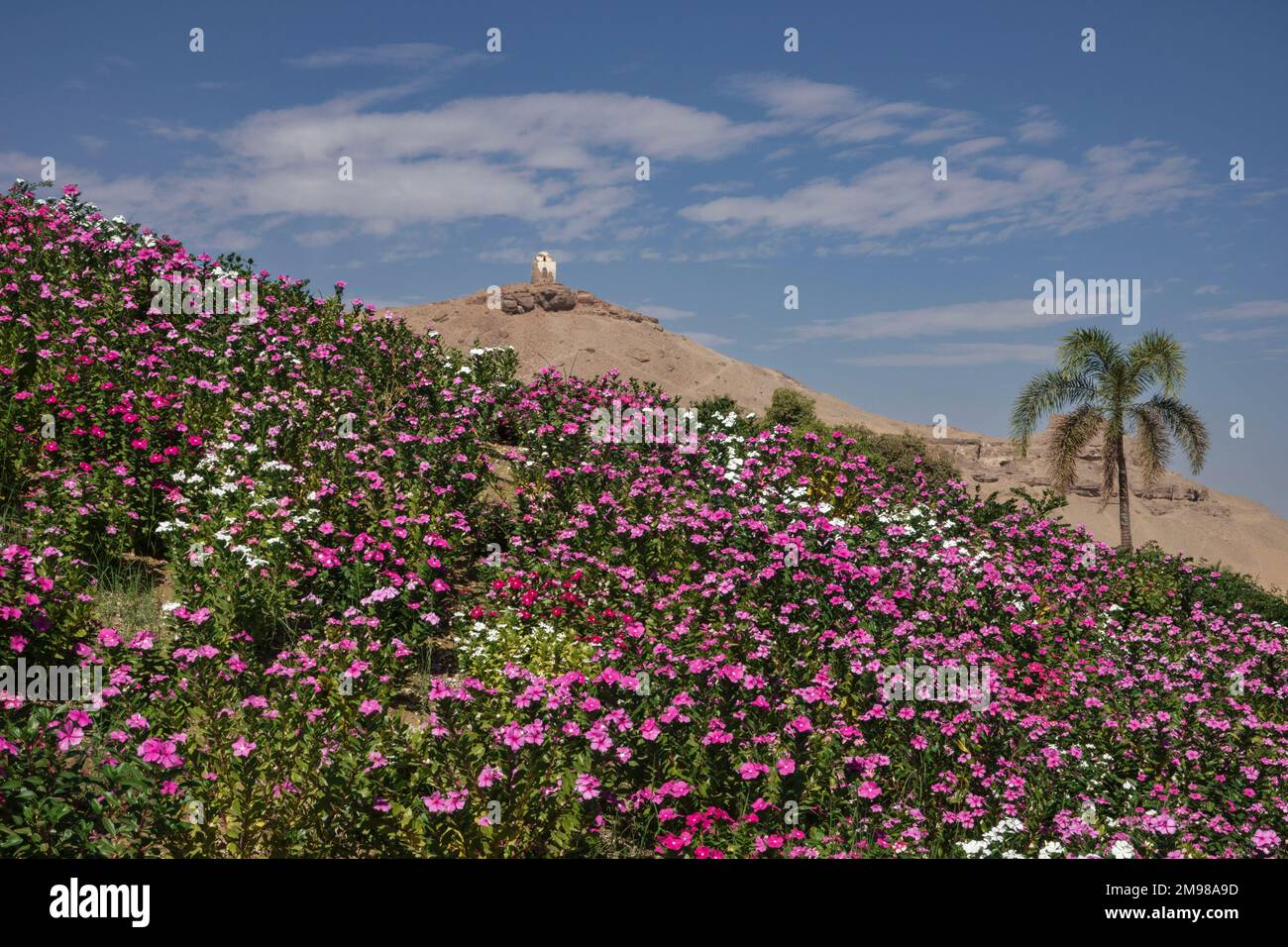 View of Tombs of The Nobles from the River Nile at Aswan, Upper Egypt Stock Photo