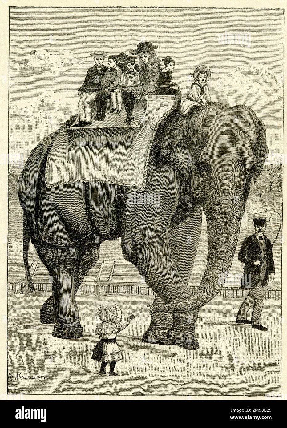 Jumbo the elephant giving children a ride at the zoo. Stock Photo