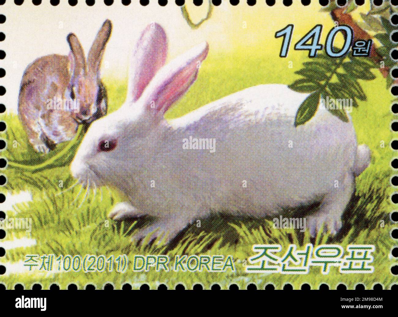Korea Rabbit Package 2011 North Korean postage stamp featuring two rabbits in a field ...