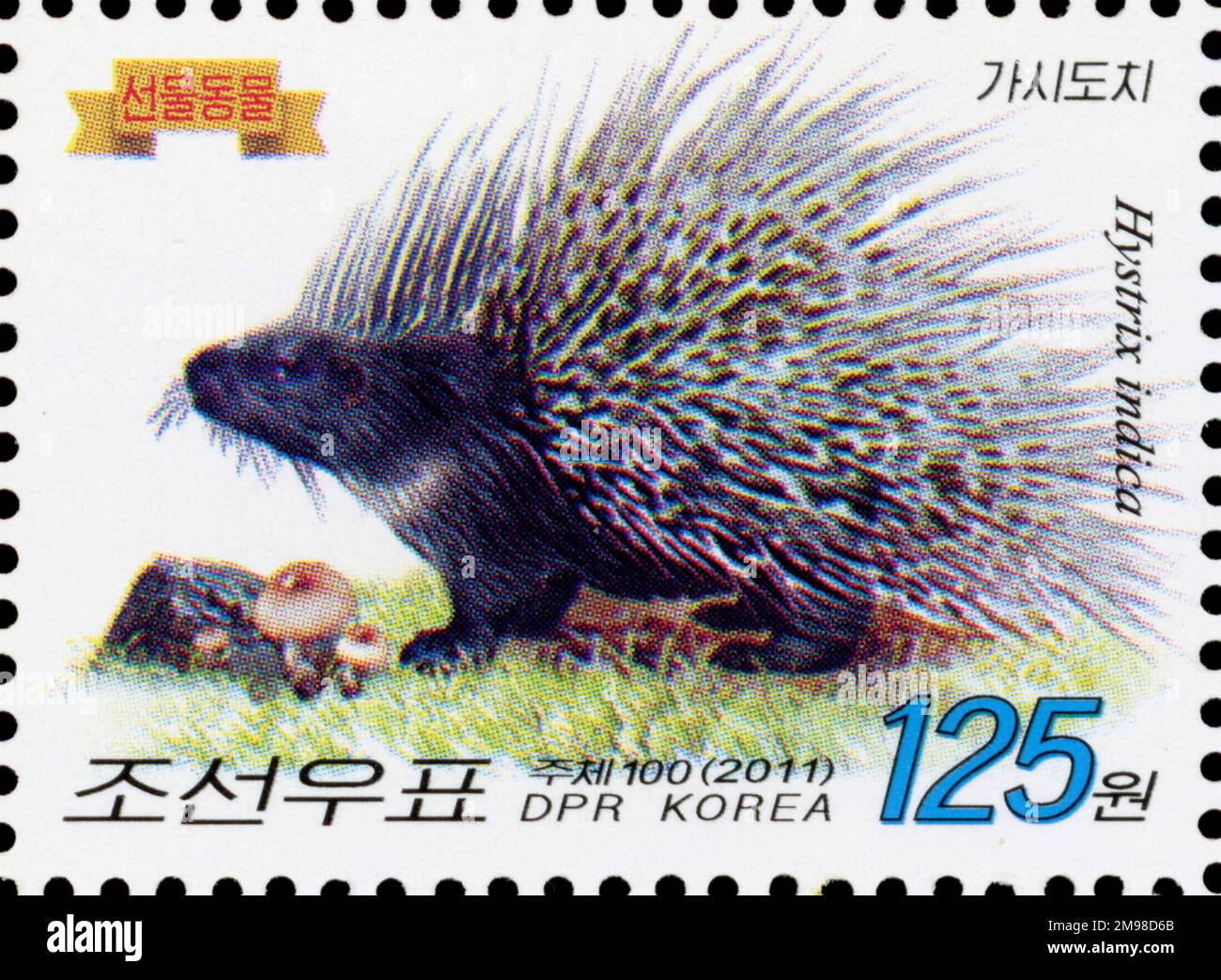 2011 North Korea stamp set. 69th birthday of Kim Jong Il. Animals gifted to the leader. Indian crested porcupine, Hystrix indica Stock Photo
