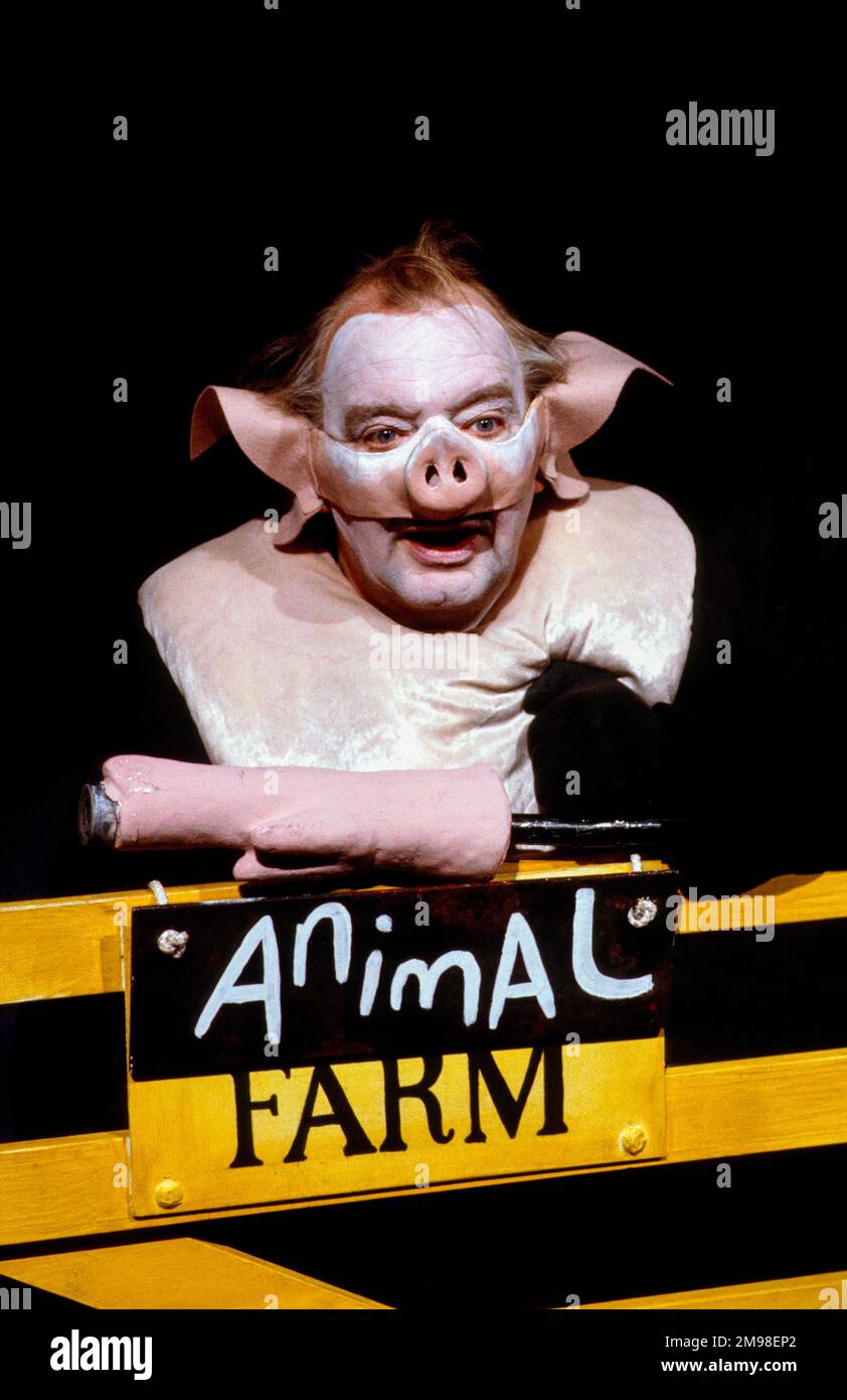 David Ryall (Squealer) in ANIMAL FARM by George Orwell at the Cottesloe Theatre, National Theatre (NT), London SE1  25/04/1984  adapted & directed by Peter Hall  design: Jennifer Carey  lighting: John Bury  movement: Stuart Hopps Stock Photo