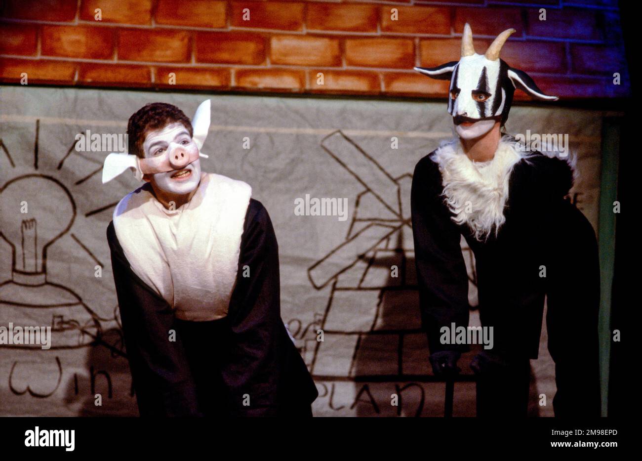 left: Snowball (Greg Hicks) in ANIMAL FARM by George Orwell at the Cottesloe Theatre, National Theatre (NT), London SE1  25/04/1984  adapted & directed by Peter Hall  design: Jennifer Carey  lighting: John Bury  movement: Stuart Hopps Stock Photo