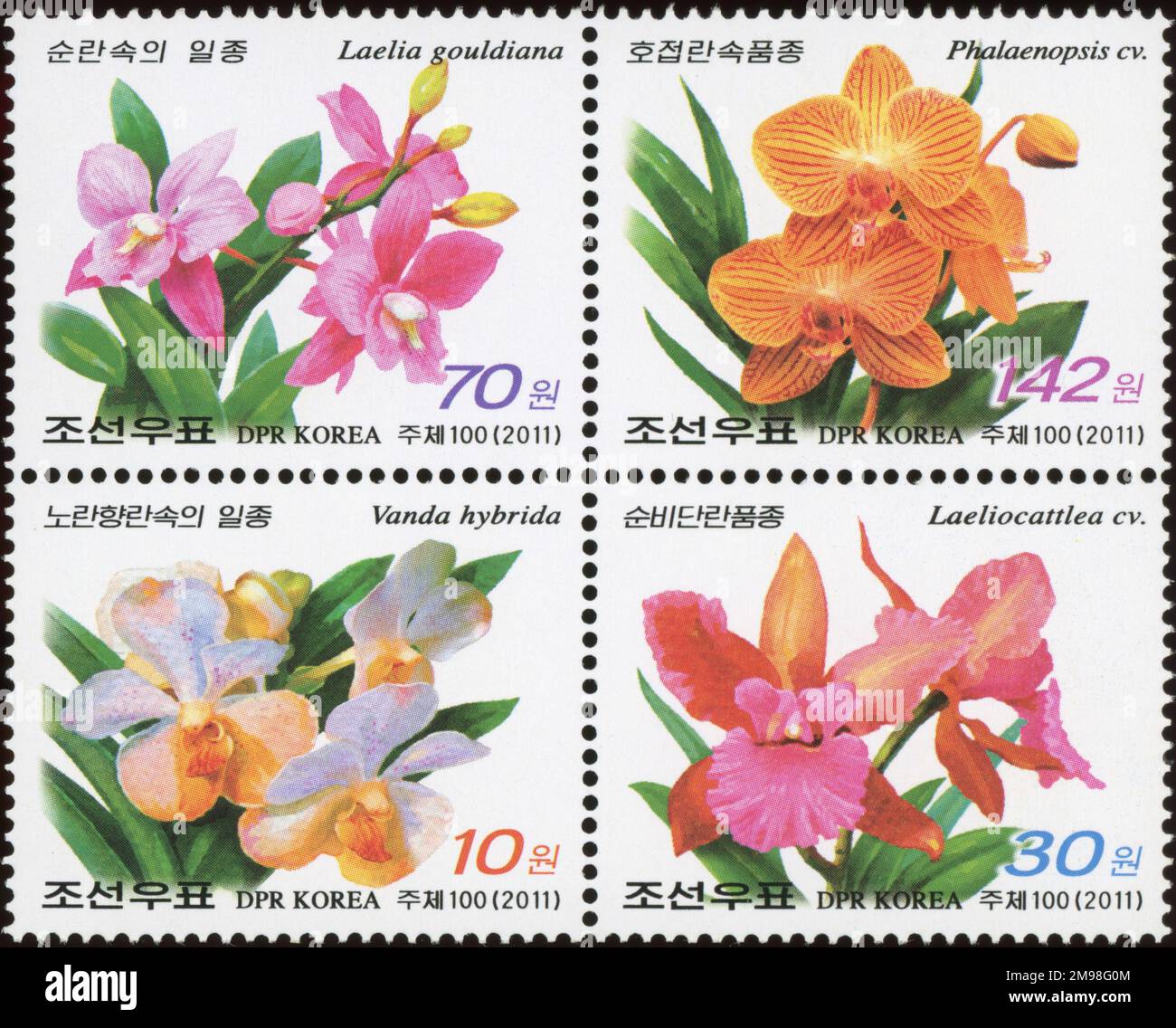 2011 North Korea stamp set. Flowers - Orchids. Vanda hybrida, Laeliocattleya sp., Laelia gouldiana, Phalaenopsis sp. Stock Photo
