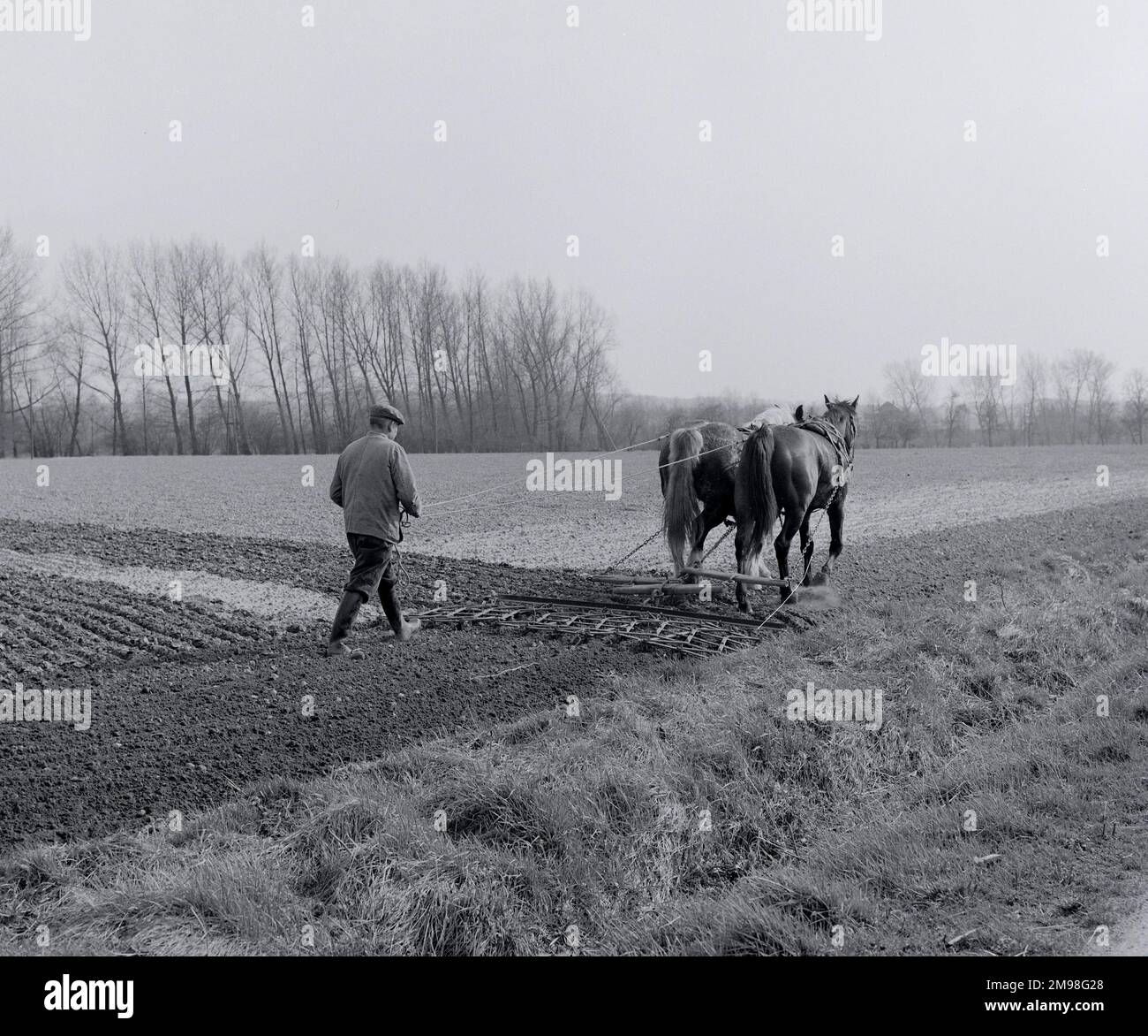 West German farmer tilling a field with two horse drawn machinery Stock Photo