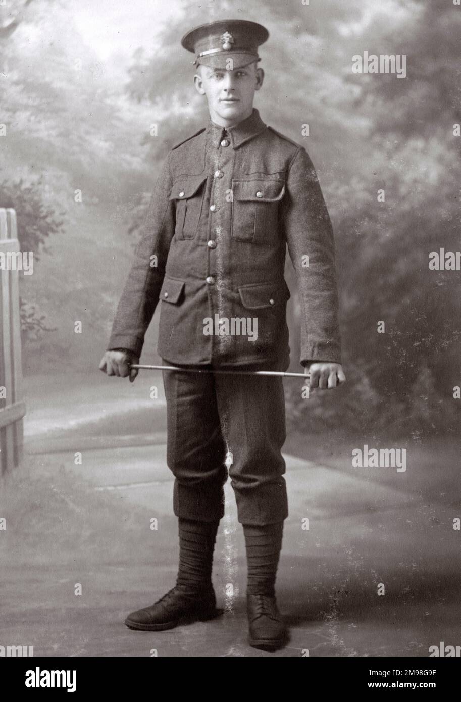 Studio photo, young man in UOTC uniform (20th Battalion, Royal Fusiliers), autumn/winter 1914.  He was Albert Auerbach (1894-1918). Stock Photo