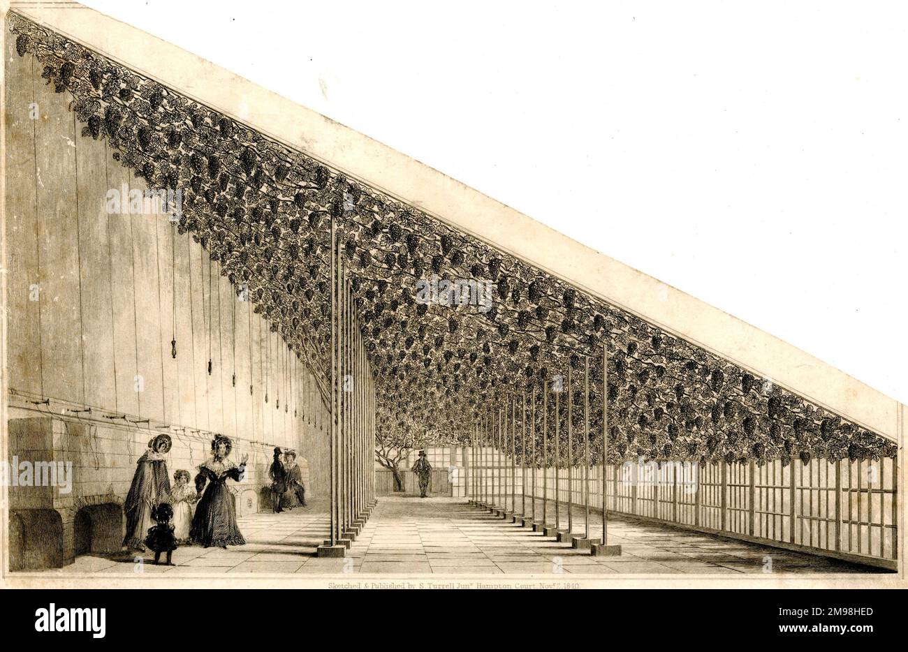 Interior of the Large Vine House at Hampton Court Palace, London Stock