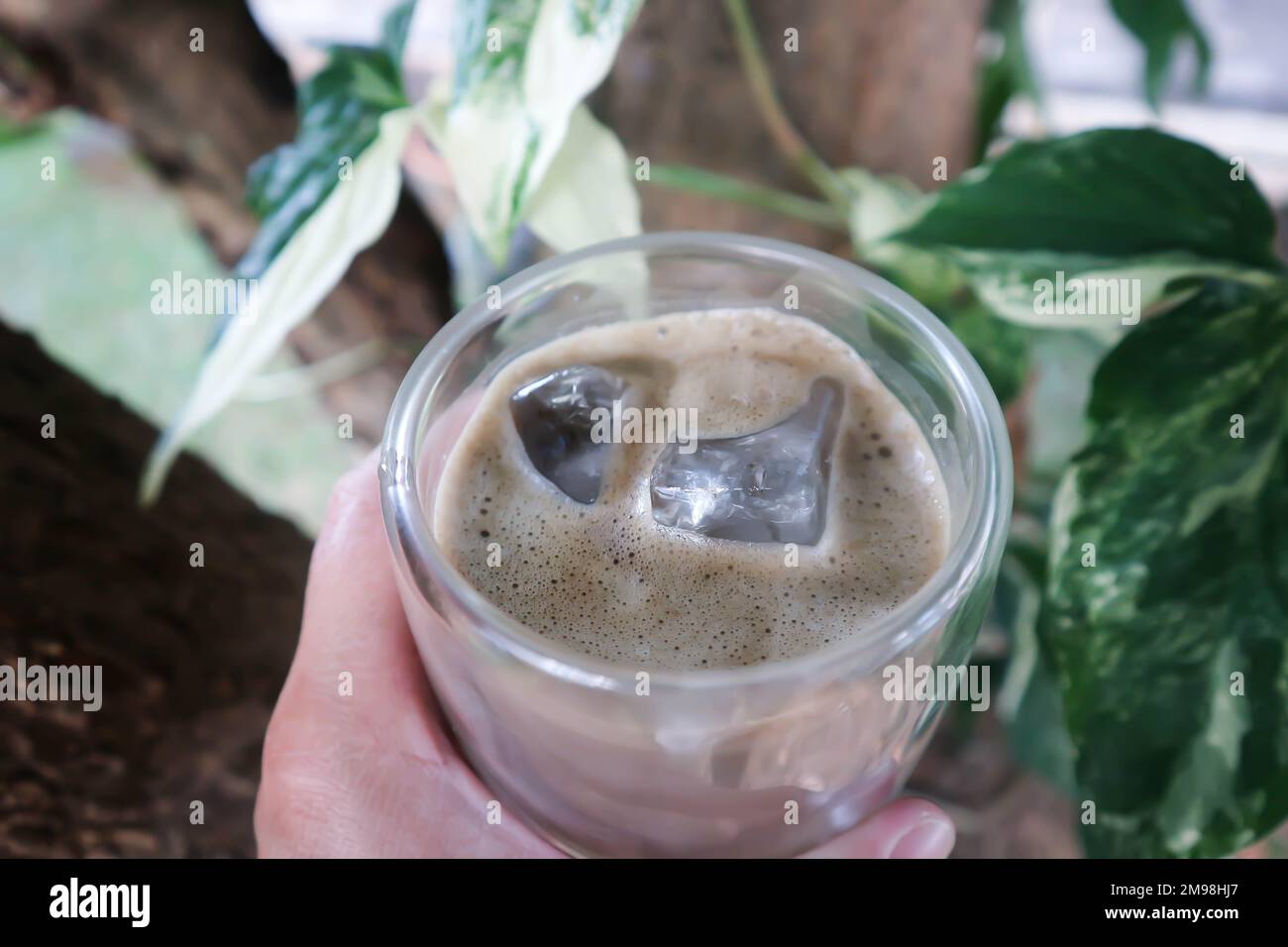 kombucha, iced tea or iced matcha or matcha green tea for serve Stock