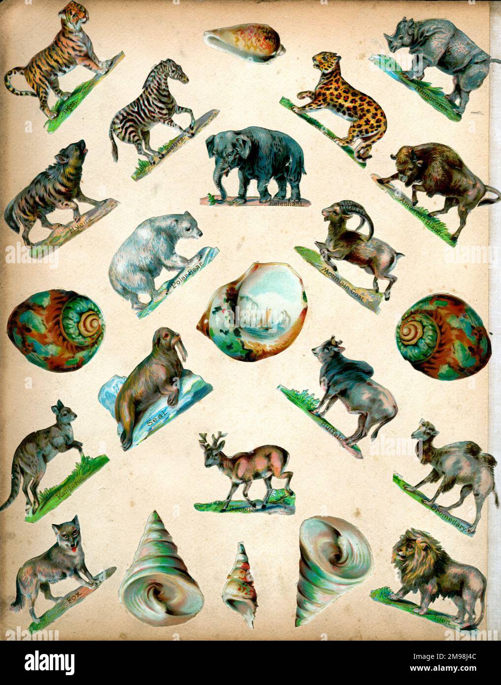 Victorian Scraps Page of Animals Stock Photo Alamy