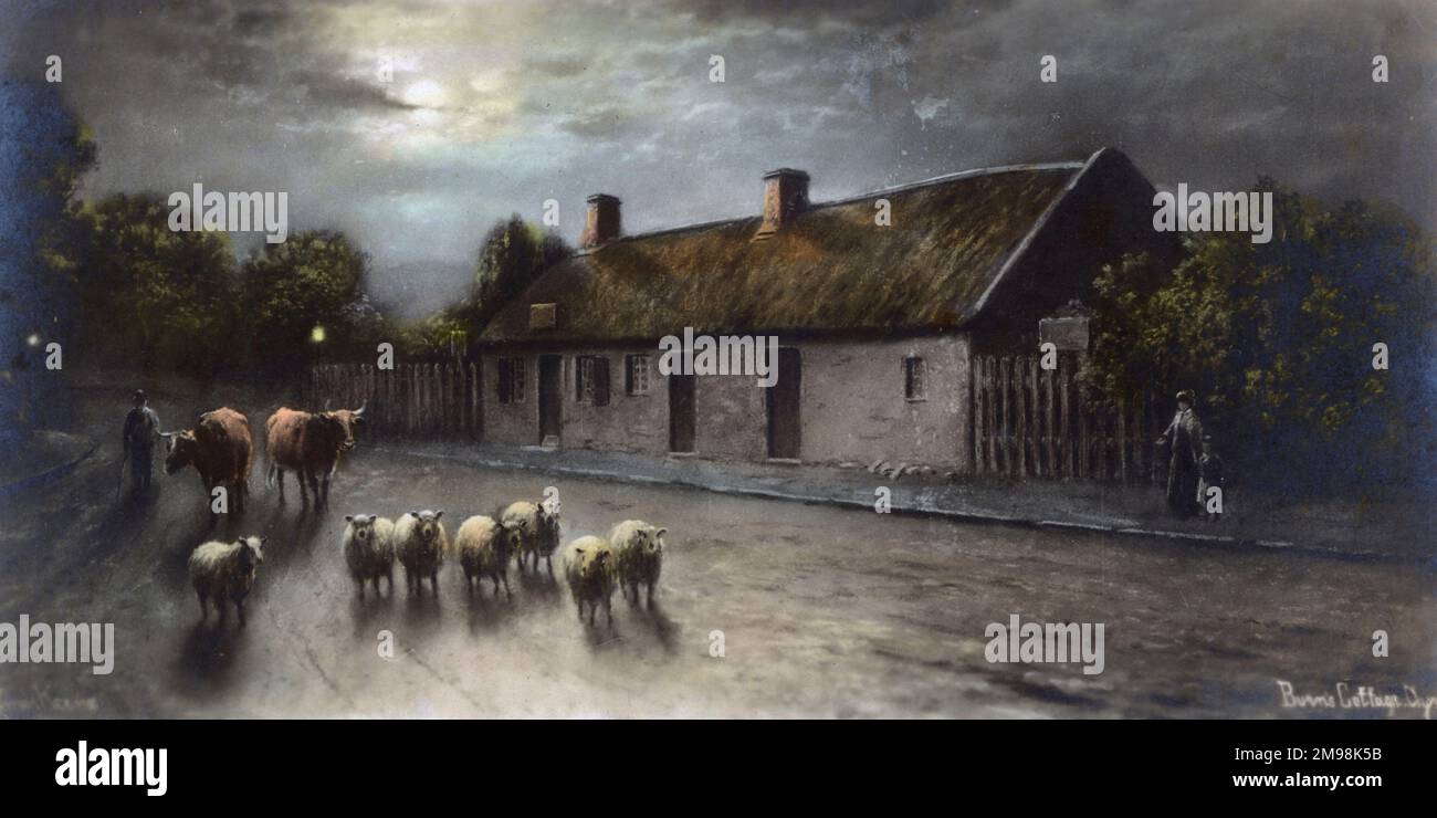 Robert Burns' cottage, Alloway, South Ayrshire, Scotland, with sheep and cattle passing by. Stock Photo
