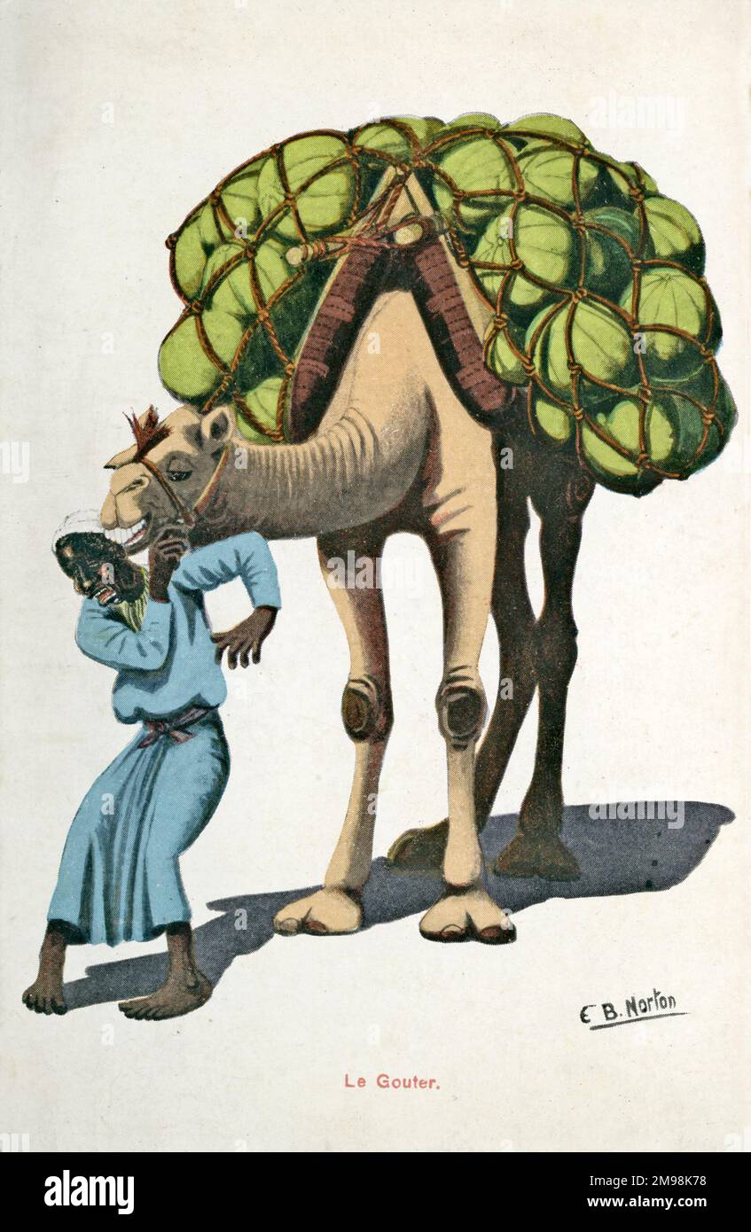 Camel carrying egypt hi-res stock photography and images - Alamy