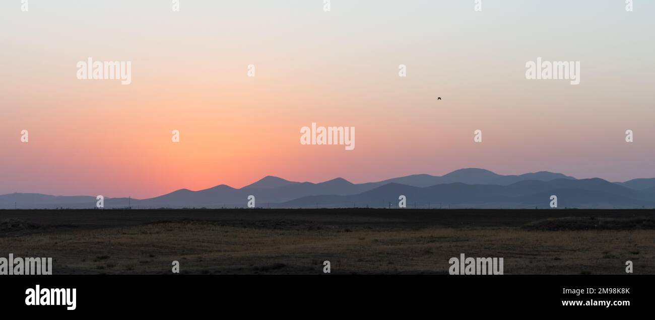 fly crow in sunset around mountains Stock Photo