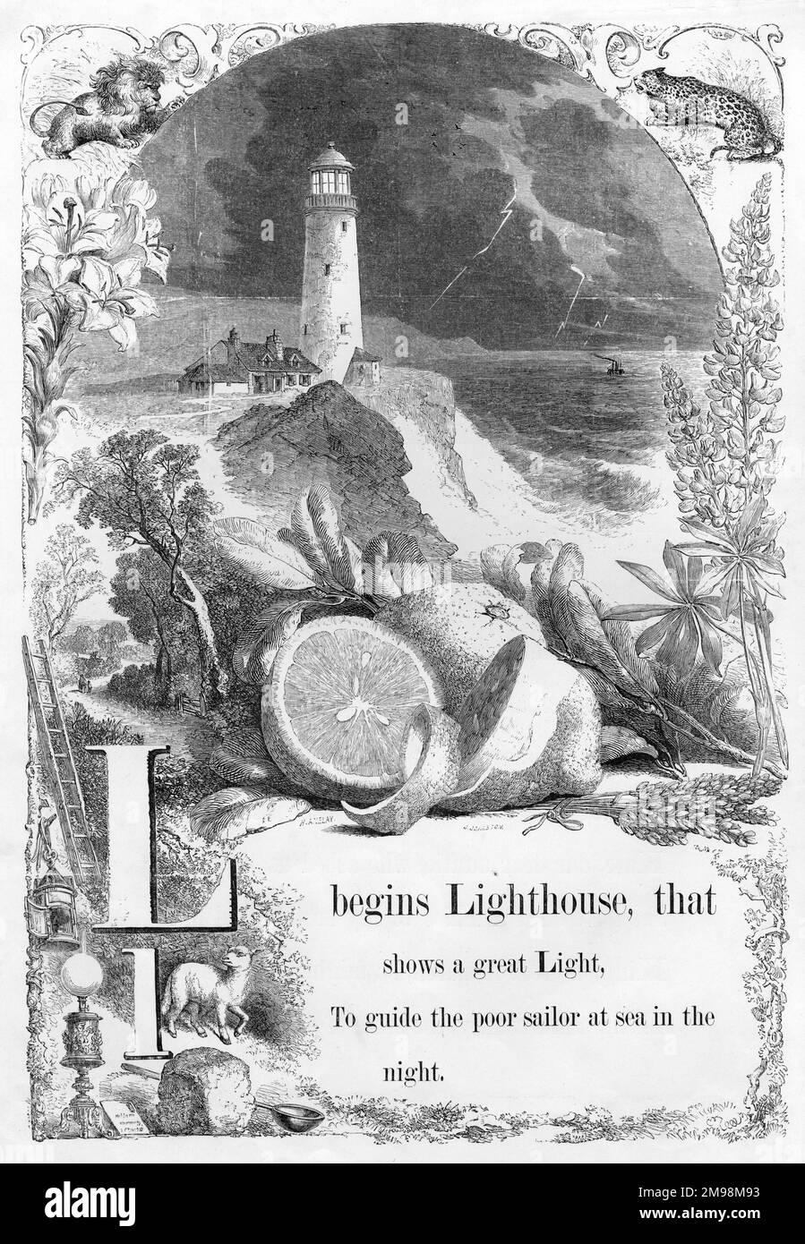 The Mother's Picture Alphabet -- L, showing a lighthouse and some lemons. Stock Photo