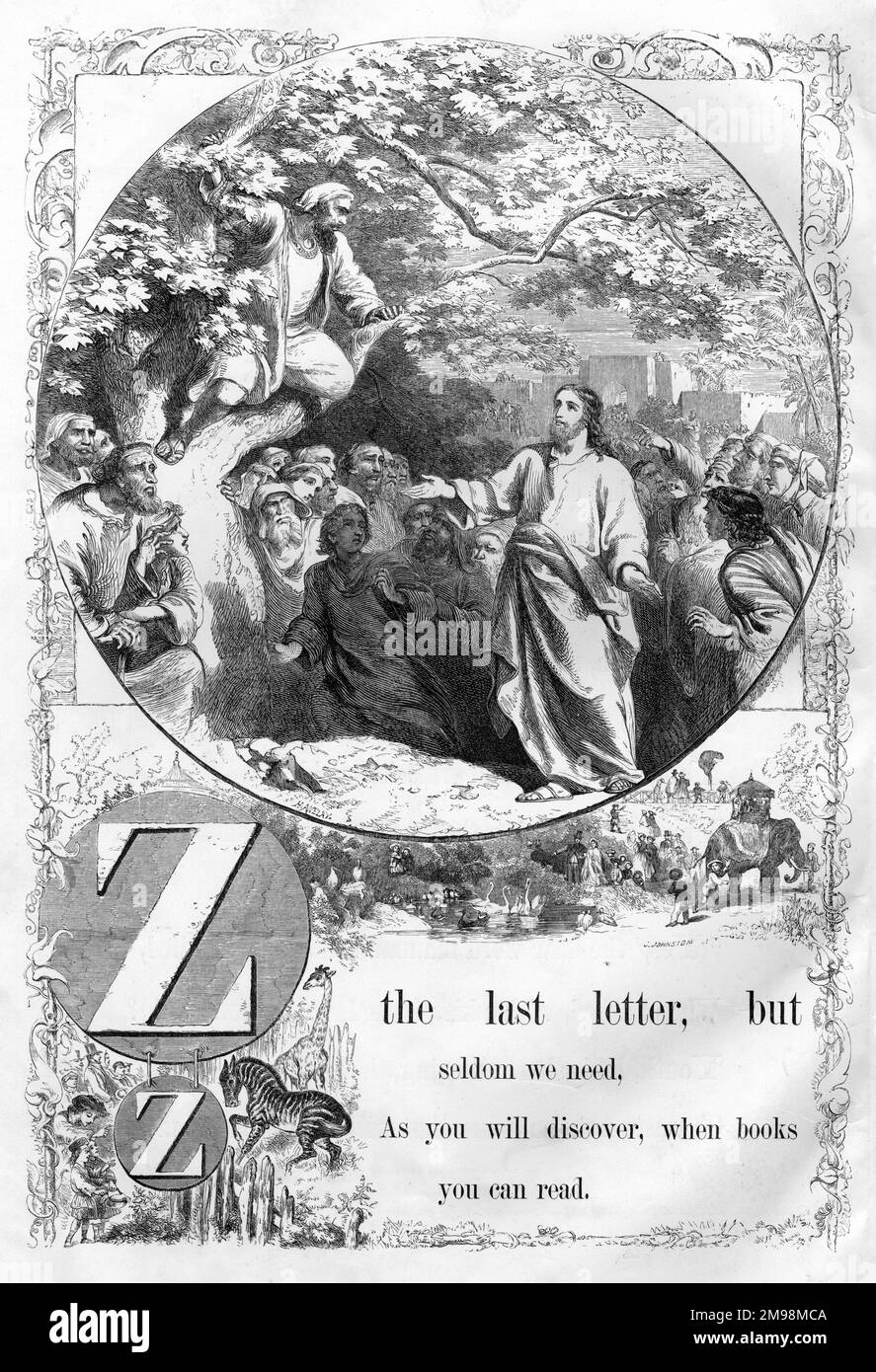 The Mother's Picture Alphabet -- Z, showing Zaccheus (Zacchaeus) climbing a tree in order to see Jesus. Stock Photo