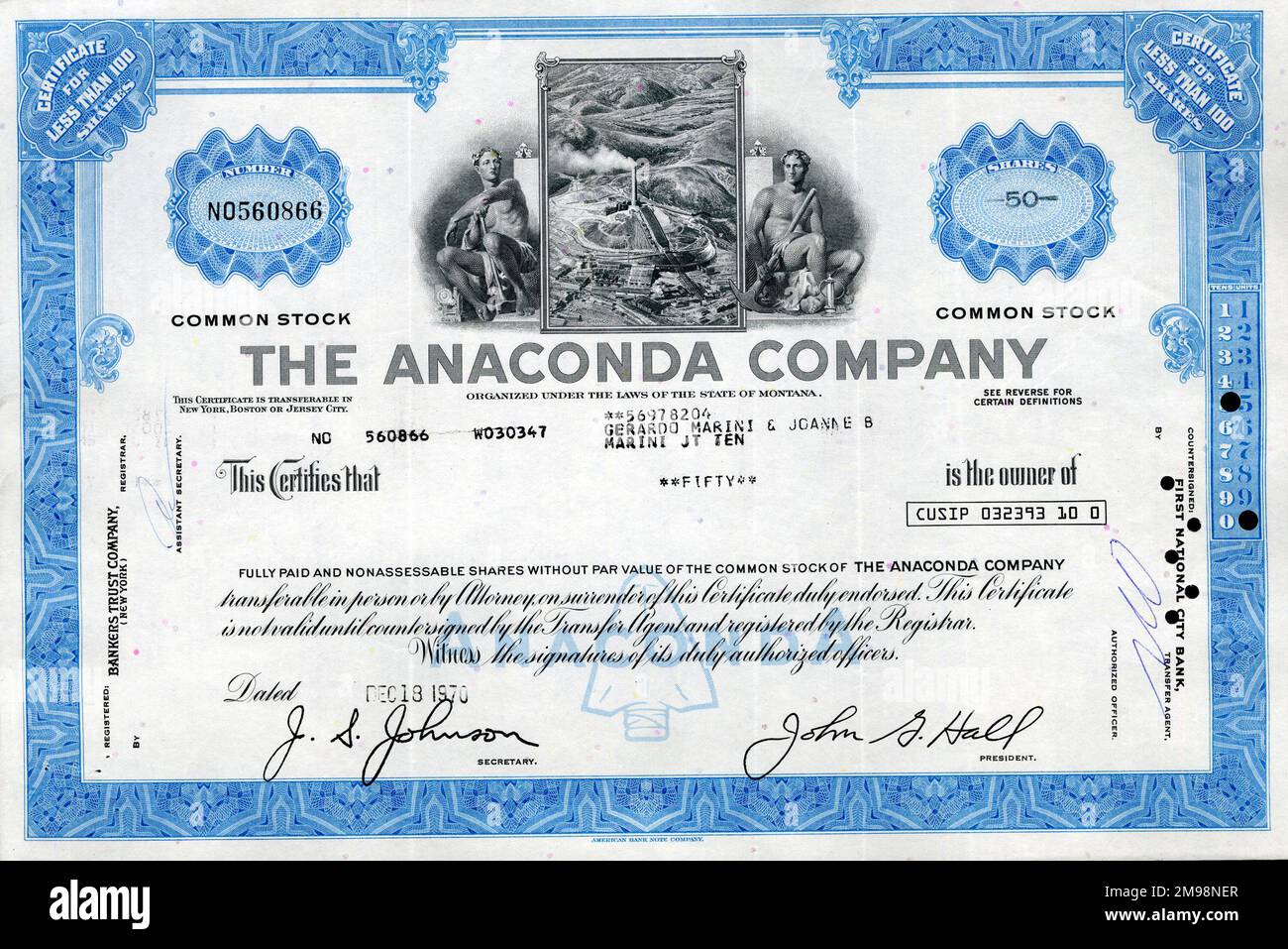 Stock Share Certificate - The Anaconda Company, 50 shares. Stock Photo