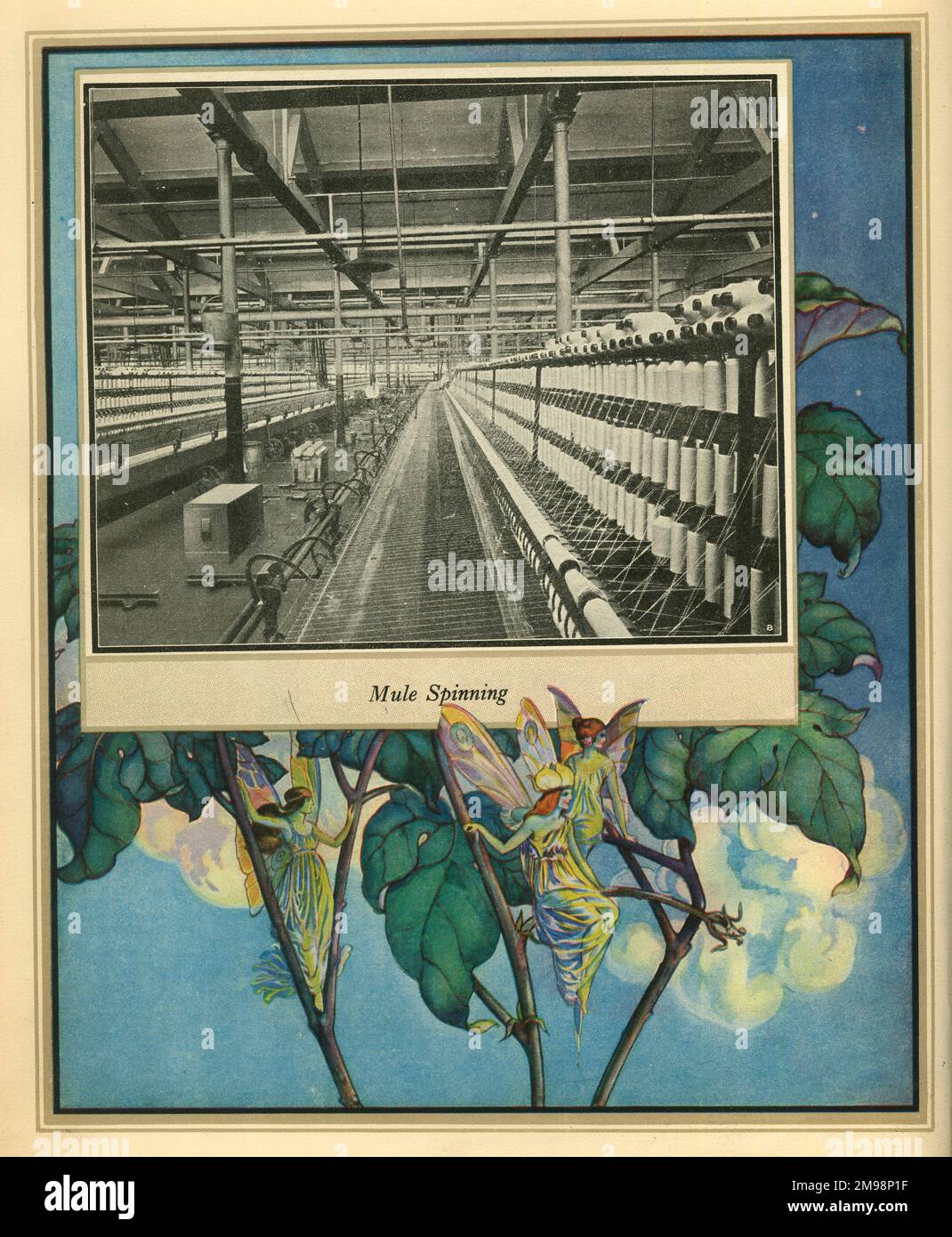 Amalgamated Cotton Mills Trust Ltd, 1920 -- Mule Spinning. Stock Photo