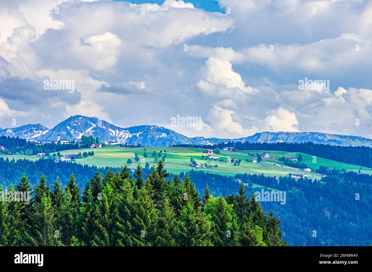 Landscape and rural setting in West Allgäu around the place of Boeserscheidegg near Lindau, Bavaria, Germany. Landschaft und landwirtschaftliche Kulis Stock Photo