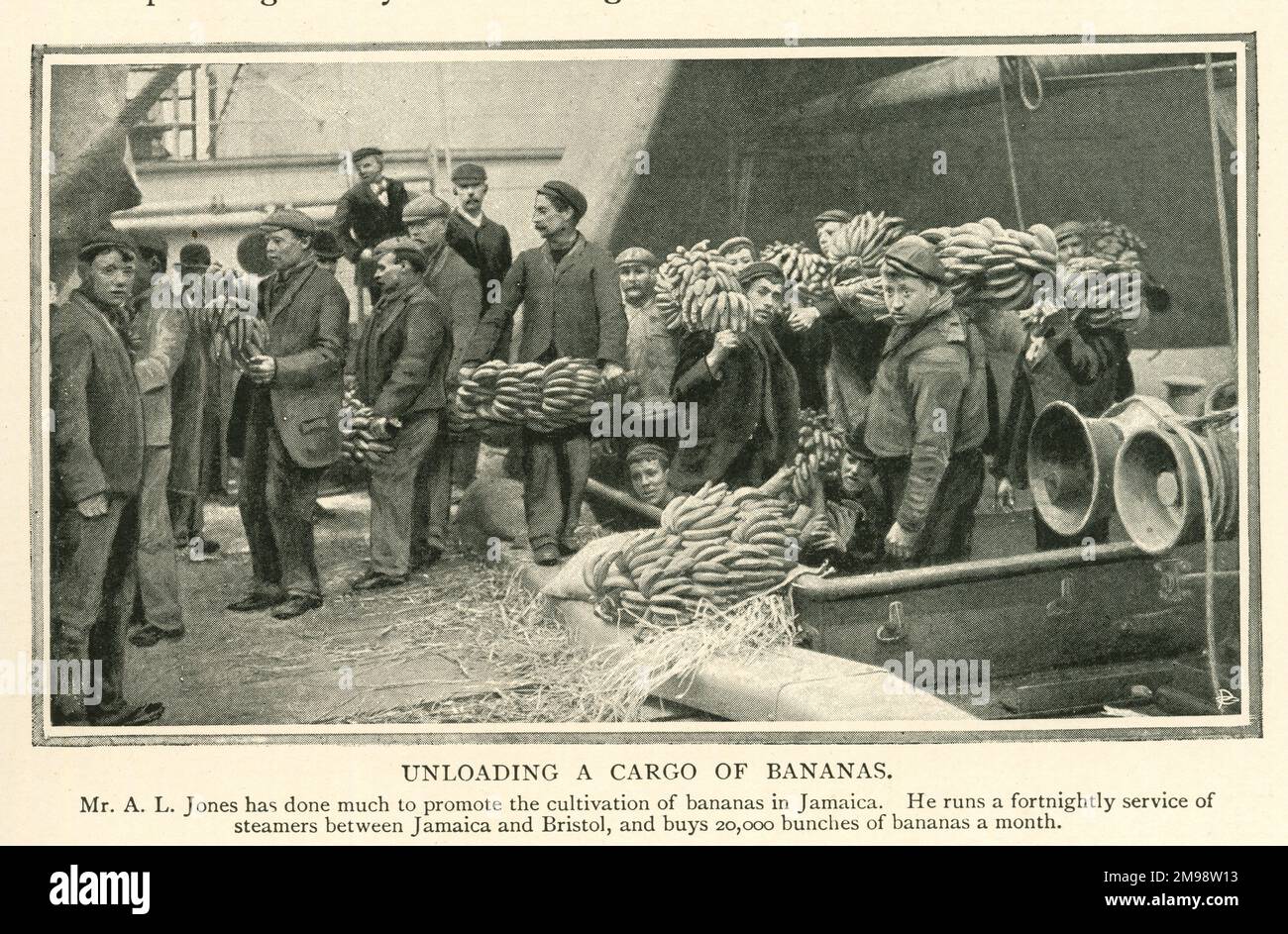 Unloading a cargo of bananas from Jamaica to Bristol Stock Photo Alamy