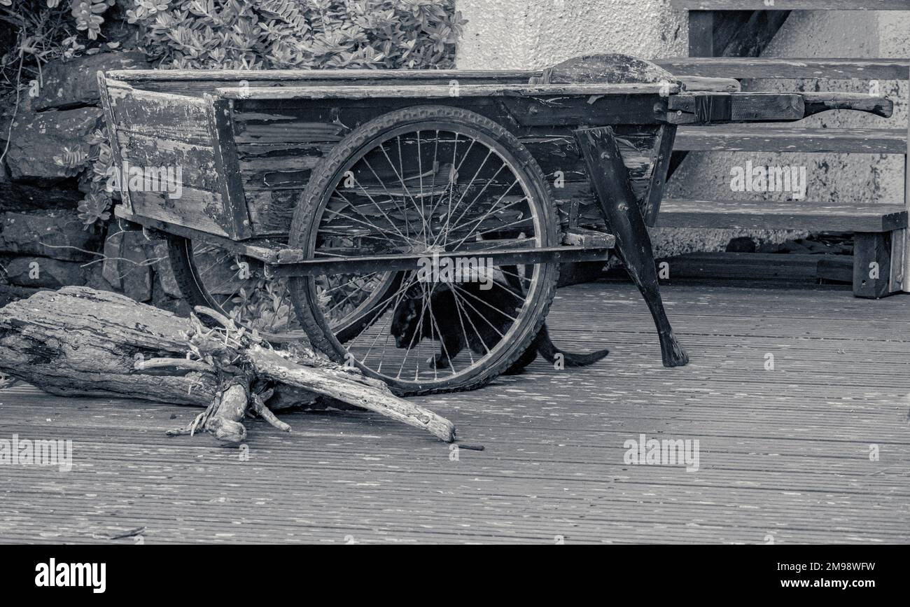 vintage cart Stock Photo