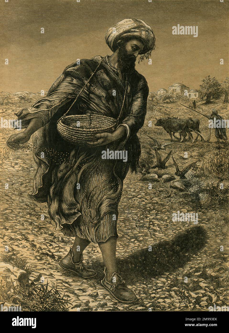seeds in the parable of the sower