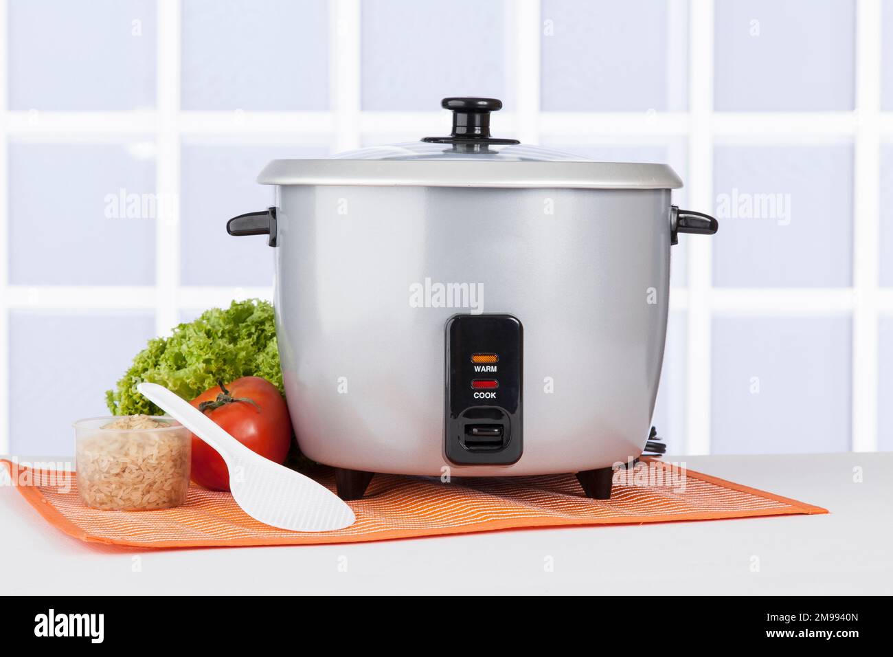 kitchen equipment; Automatic Rice Cooker Gray. Stock Photo